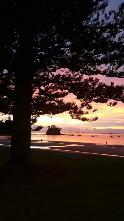 Close To Beach Lejlighed Auckland Eksteriør billede